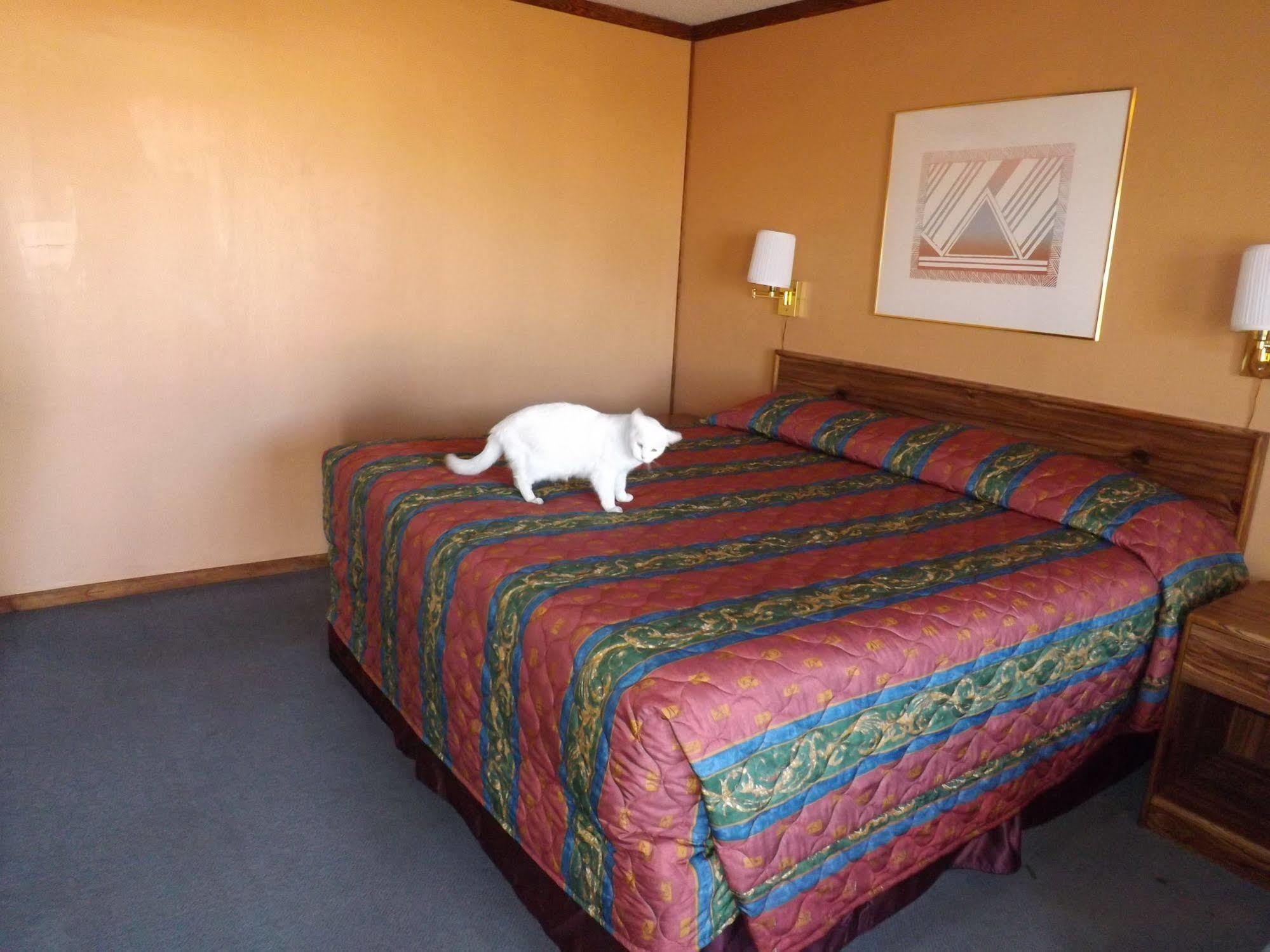 Tristar Inn Xpress Tucumcari Luaran gambar